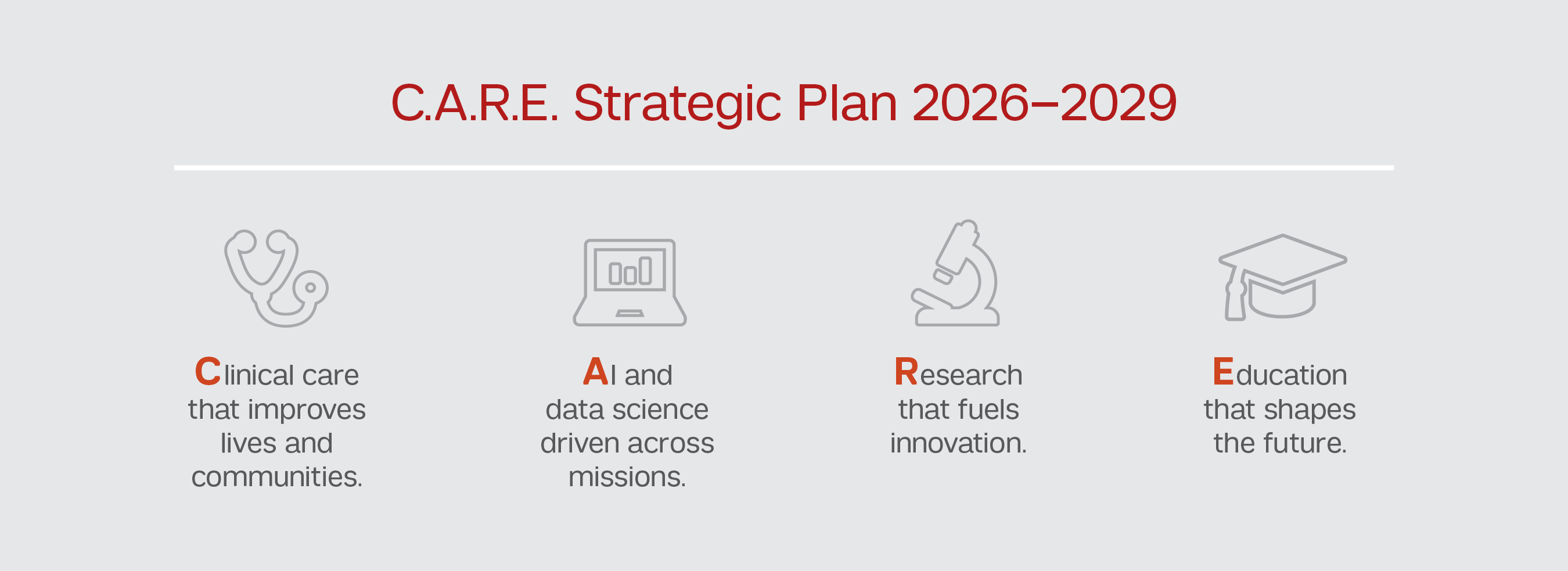 Strateic Plan Icons + Descriptions