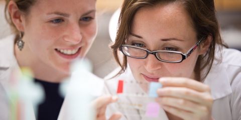 Scientists collaborating at Weill Cornell Medicine. Photo credit: Roger Tully