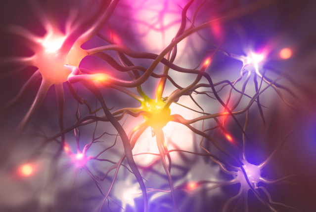 scientific image of neurons