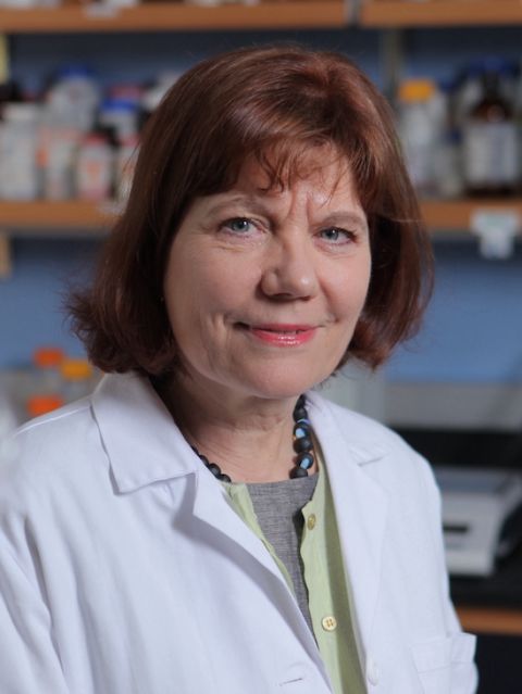 Dr. Heidi Stuhlmann